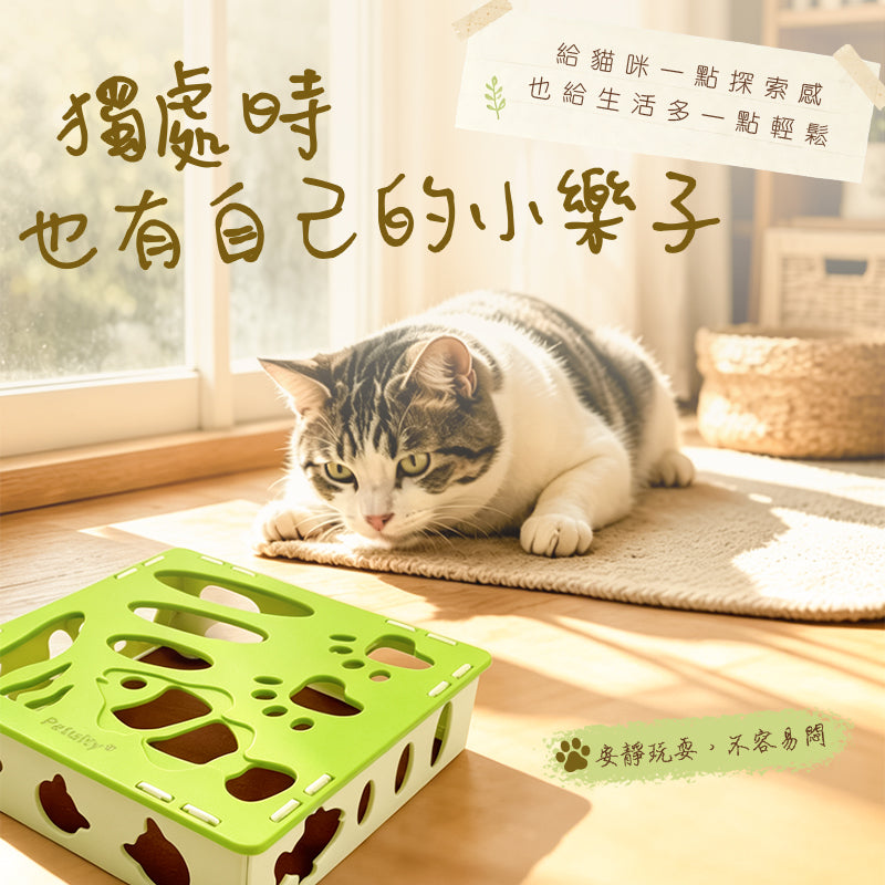 定制批發貓咪迷宮玩具自嗨解悶益智逗貓互動磨爪零食盒寵物貓用品（此單價為100件商品的批發價）